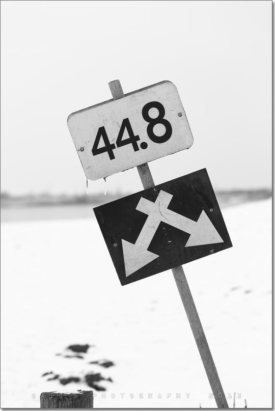 F39A2458_副本.JPG