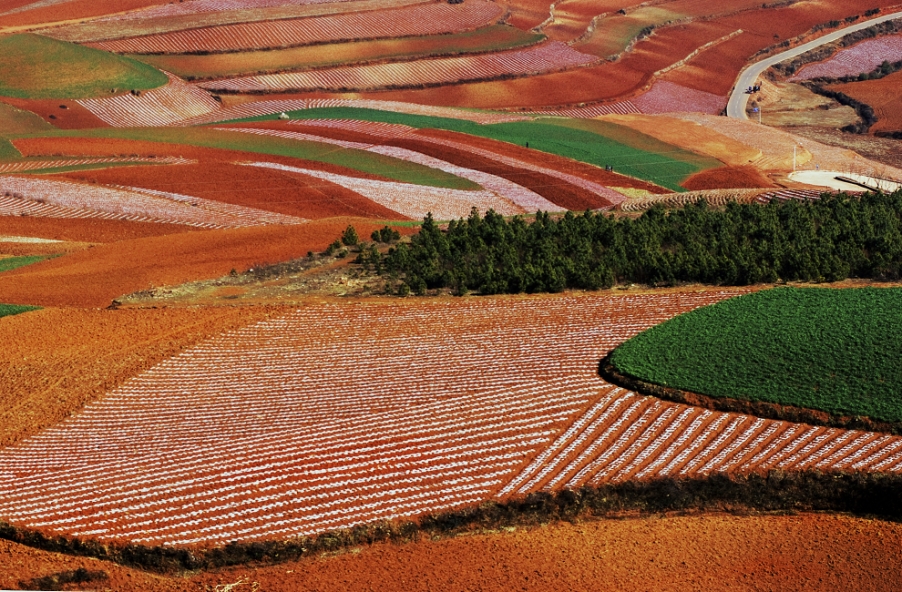 东川红土地3.jpg