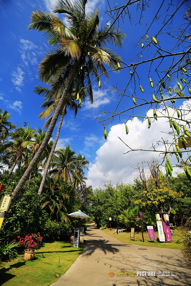 1G8A6748a.jpg