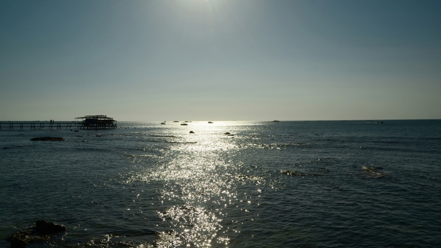 DSC_2474.jpg