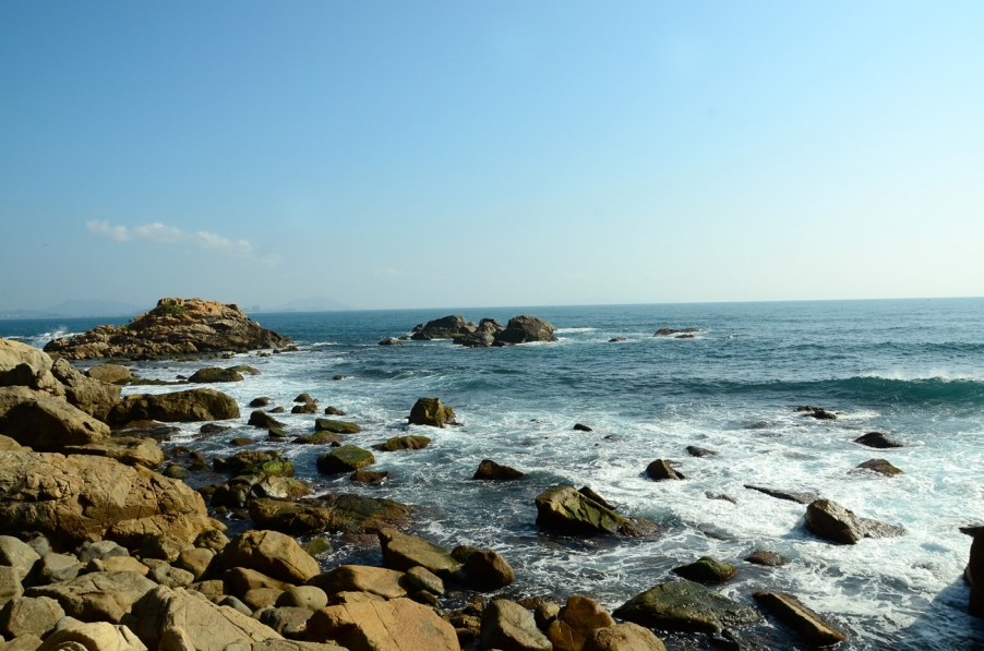 DSC_2726.jpg