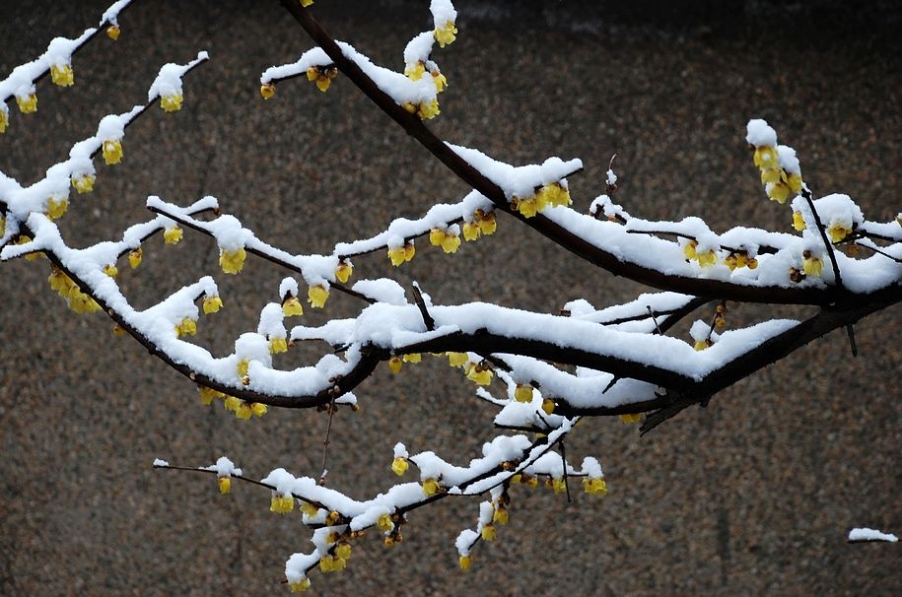 DSC_0839.JPG