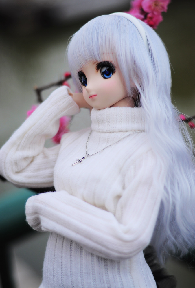 DSC_6653.JPG