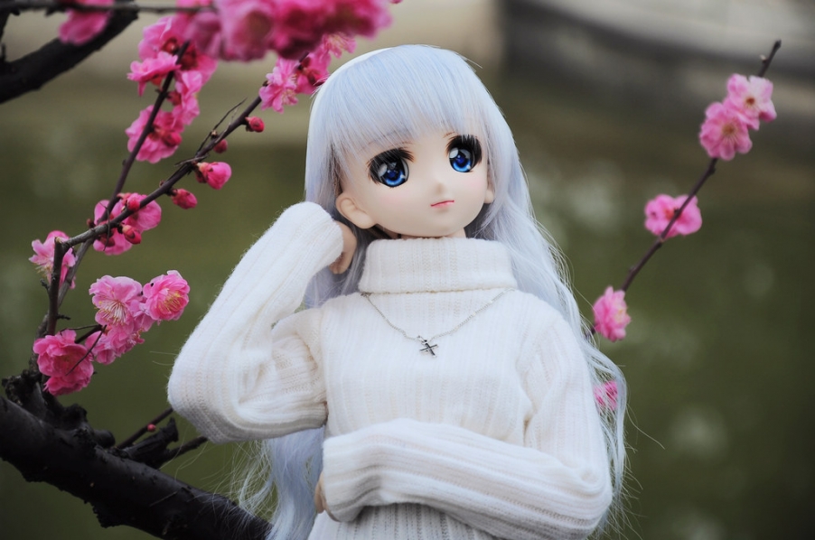 DSC_6683.JPG
