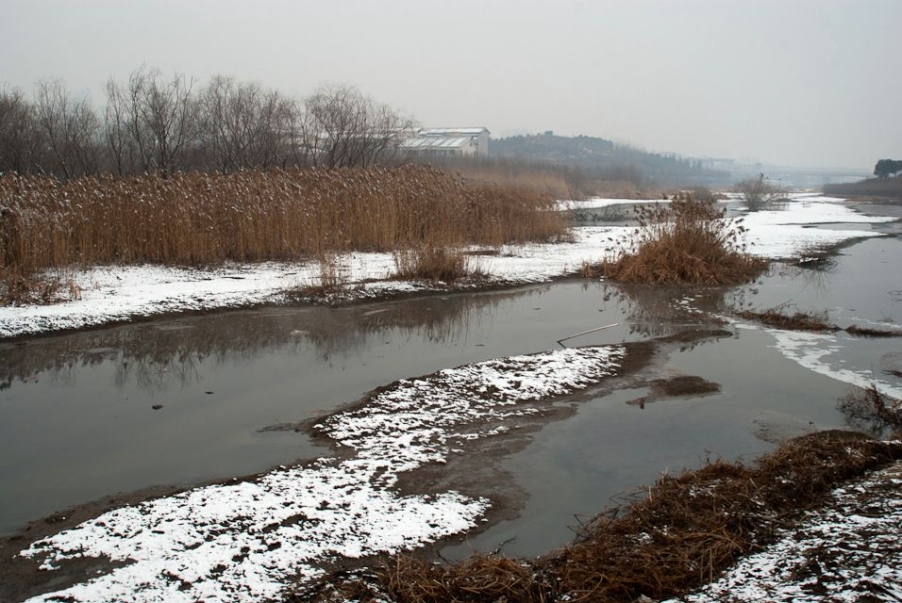 IMGP2686.jpg