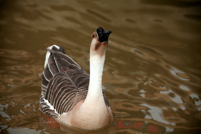 20130213世园会 (55)_副本.jpg