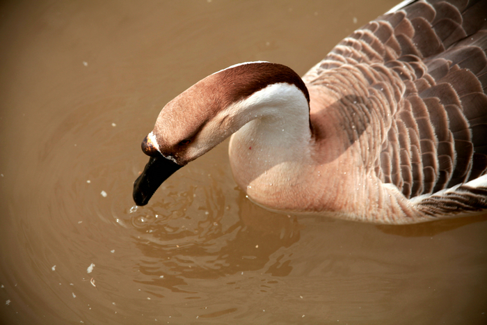 20130213世园会 (58)_副本.jpg