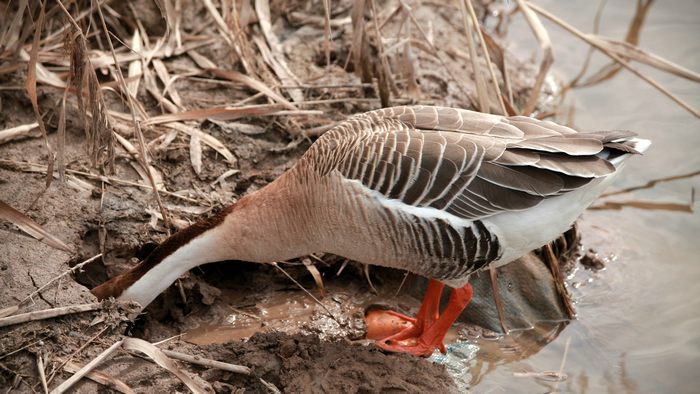 20130213世园会 (60)_副本.jpg