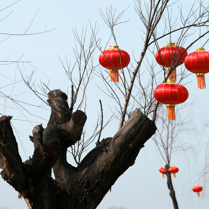 20130213世园会 (81)_副本.jpg