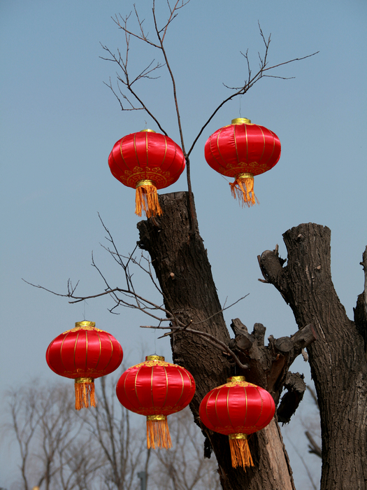 20130213世园会 (90)_副本.jpg