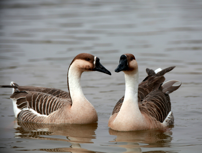 20130213世园会 (53)_副本.jpg