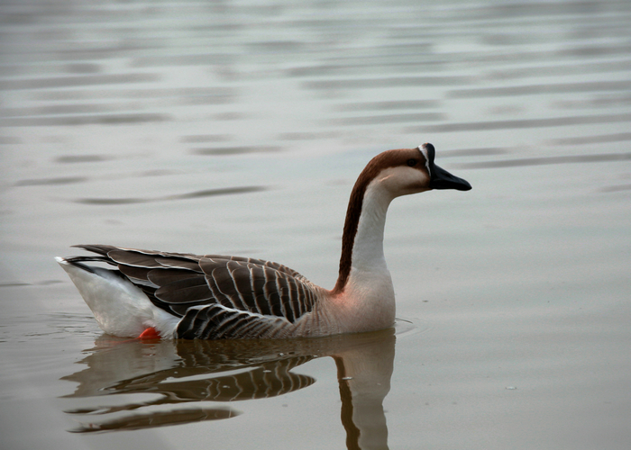 20130213世园会 (54)_副本.jpg