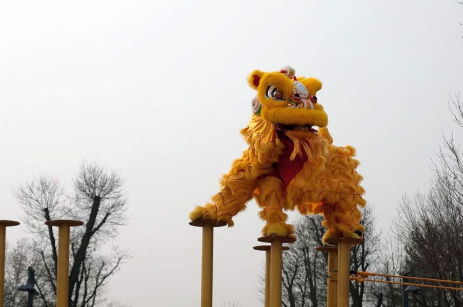 IMGP0155.jpg