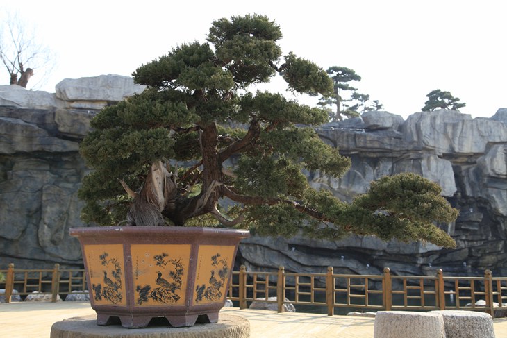 IMG_0392_副本.jpg