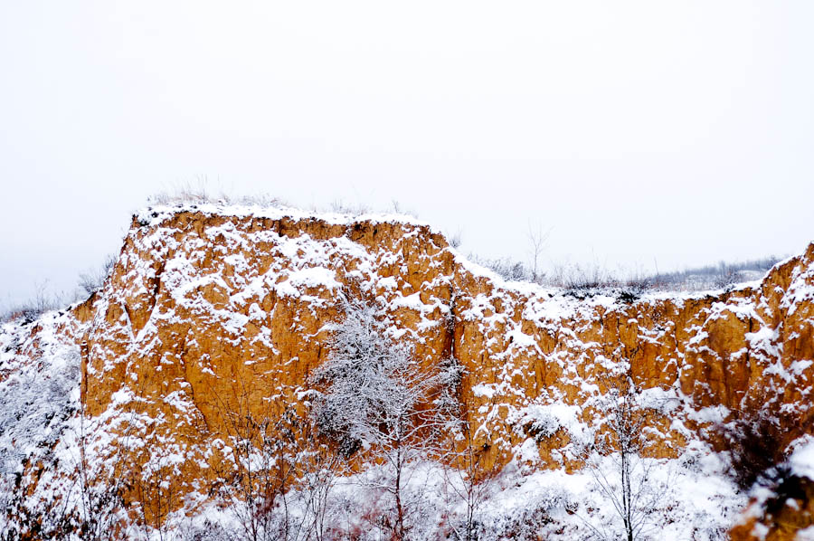 _DSC9188.jpg