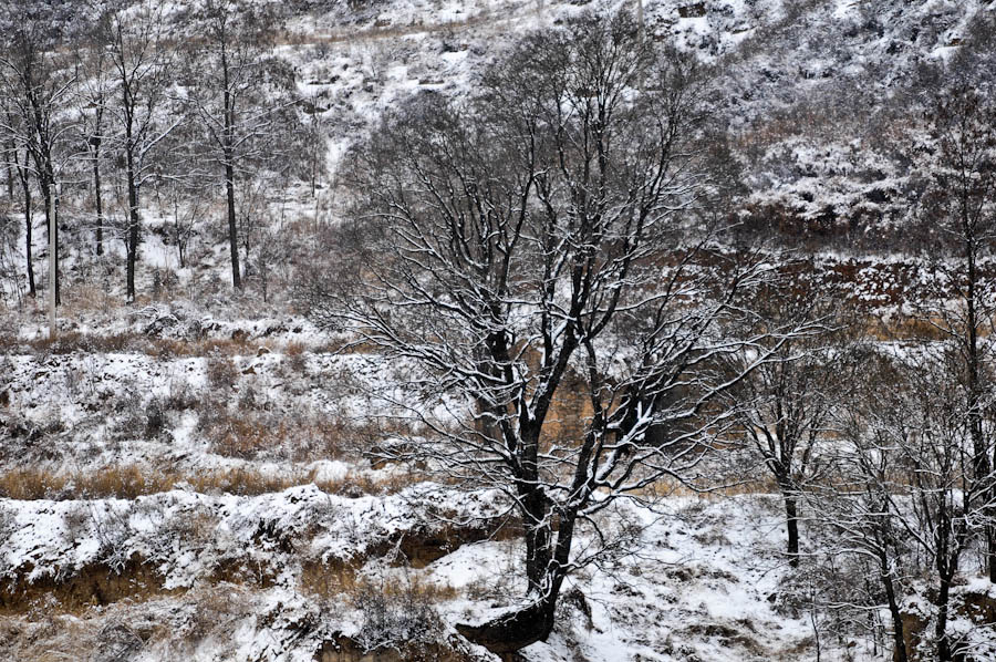 _DSC9601.jpg