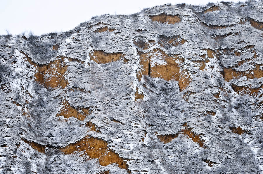 _DSC9602.jpg