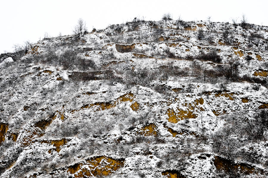 _DSC9603.jpg