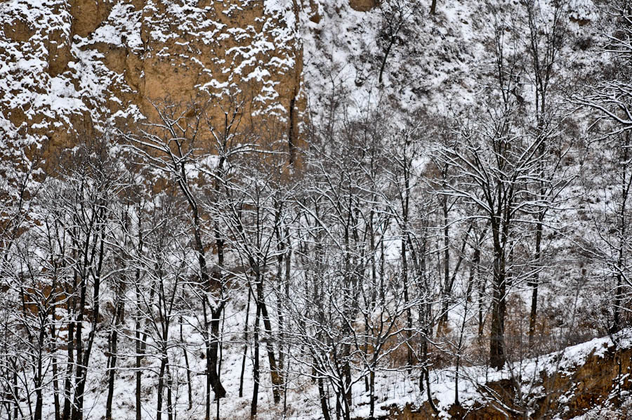 _DSC9606.jpg