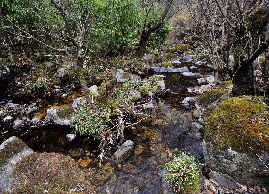 DSC_0173.jpg