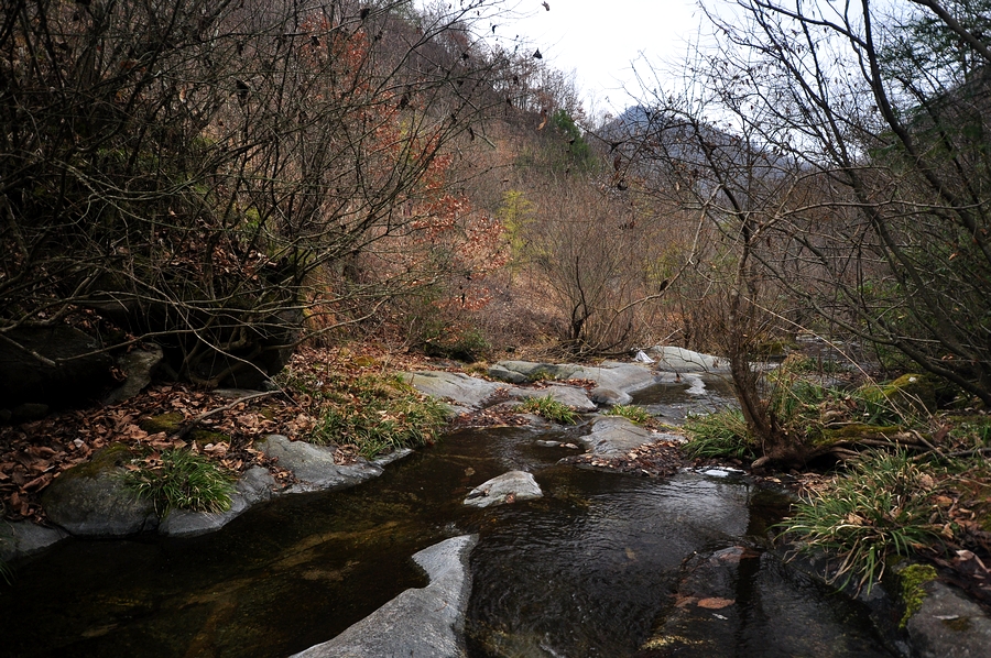 DSC_0216.jpg
