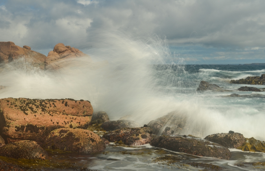 DSC_0657.jpg