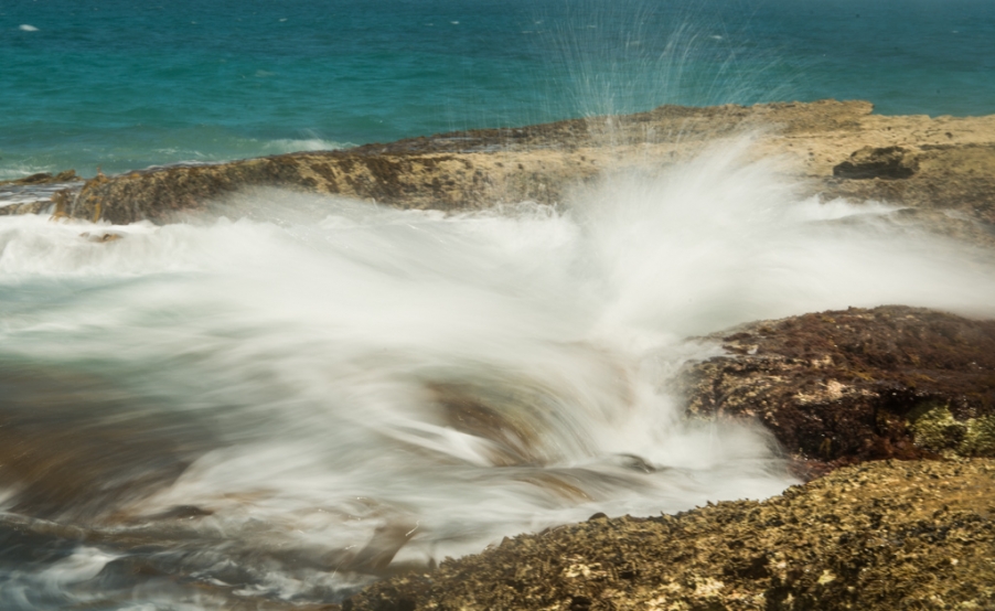DSC_1340.jpg