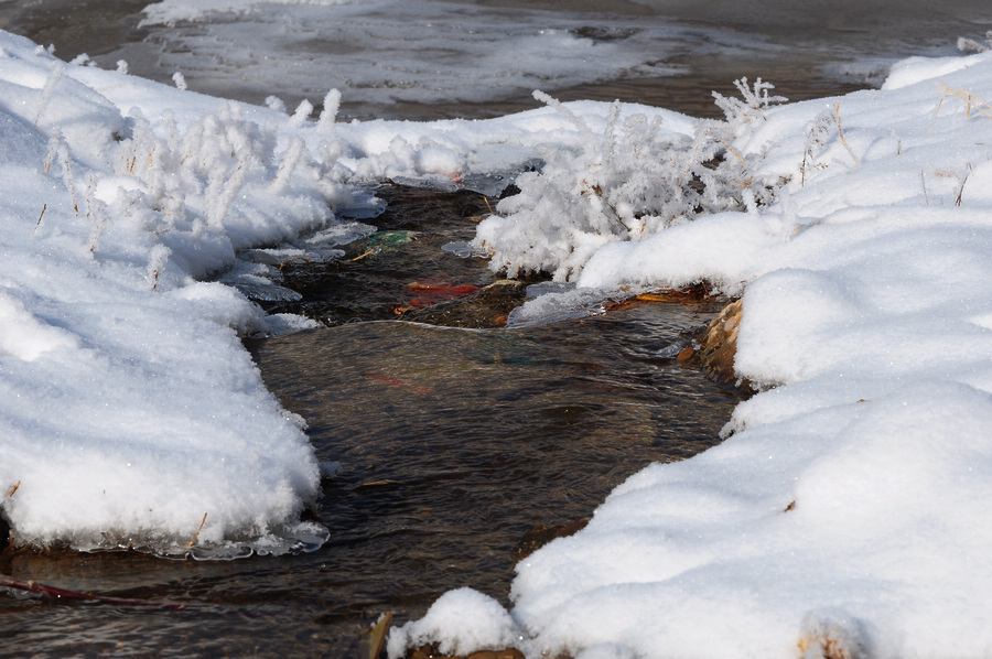 DSC_2602.JPG