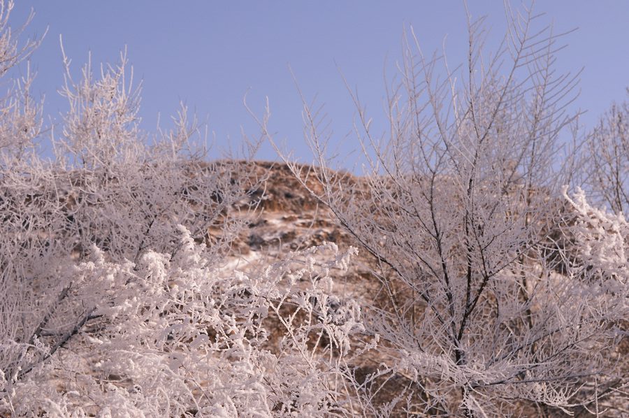 DSC_2609.JPG