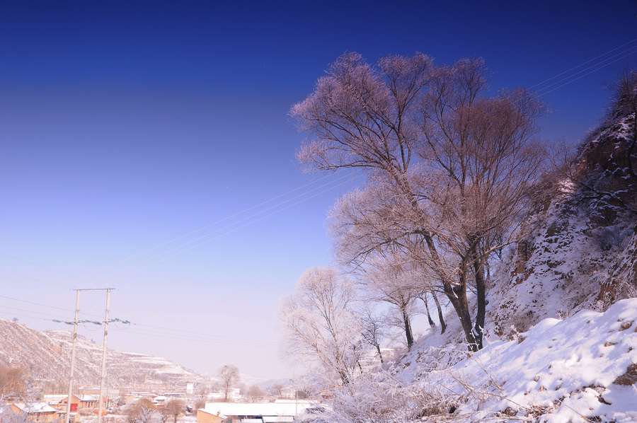 DSC_2646.JPG