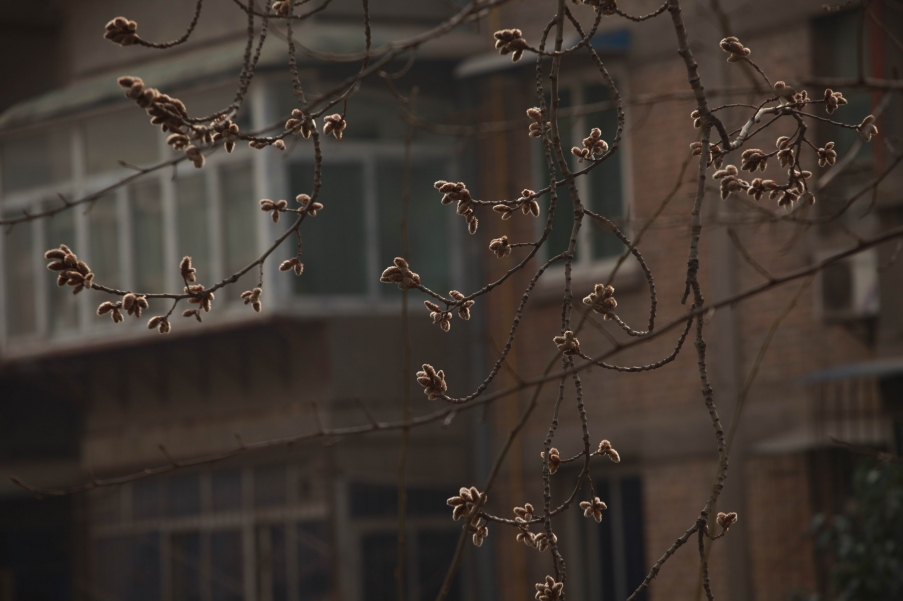 调整大小 IMG_3408.jpg