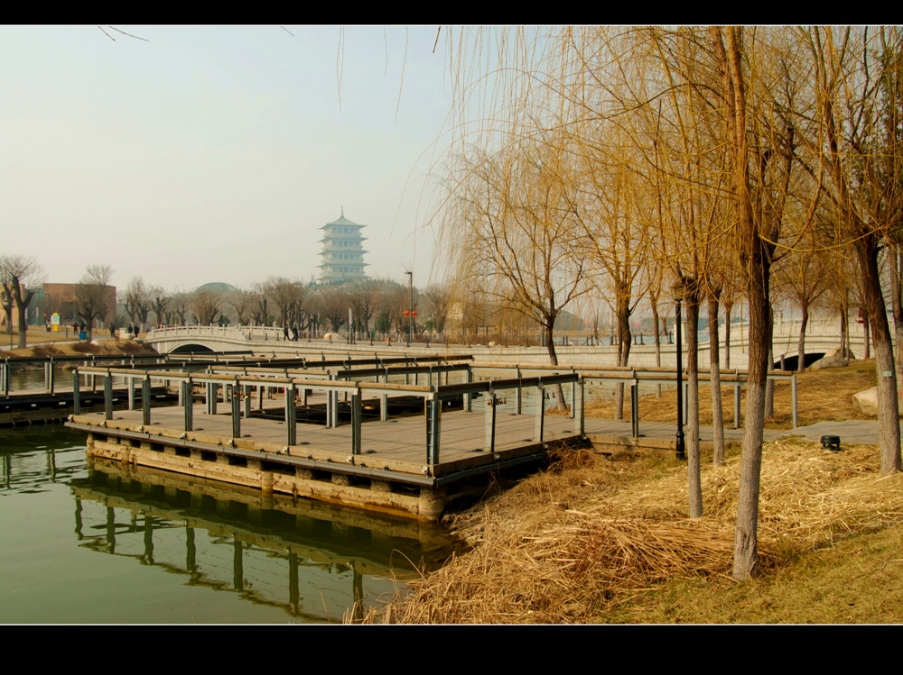 IMGP0479.jpg