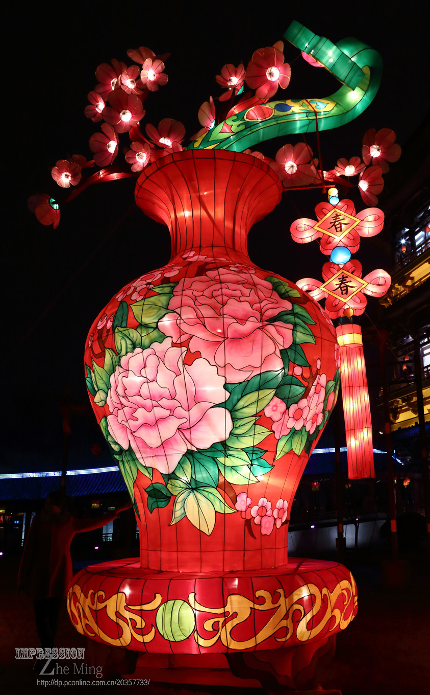 大唐芙蓉园灯展023.jpg