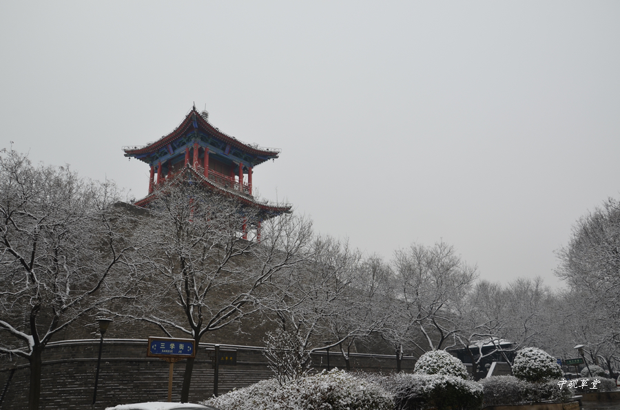DSC_0259.jpg