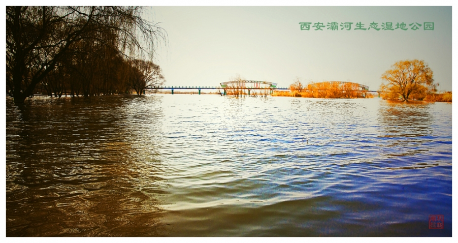 IMG_3673_副本.jpg