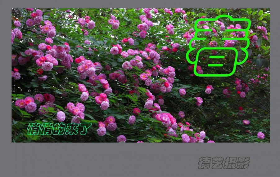 未标题 7.jpg
