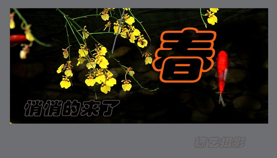 未标题  6.jpg