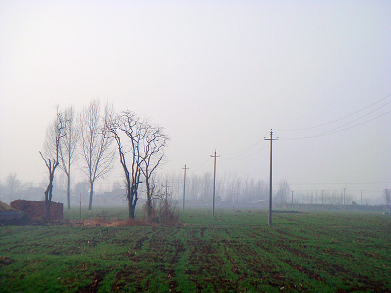 DSC02944_副本.jpg
