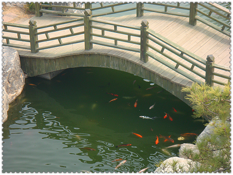 DSC03310_副本.jpg