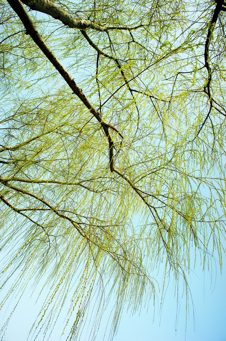 DSC00170_副本.jpg