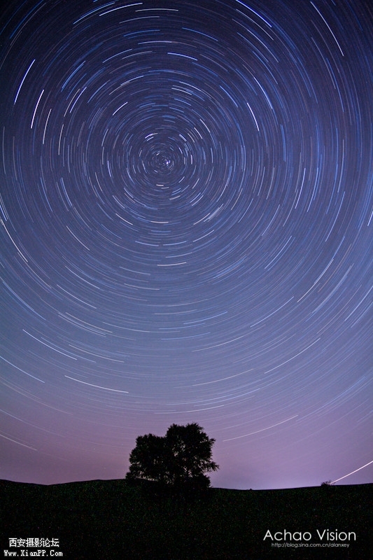6597579940052520175.jpg