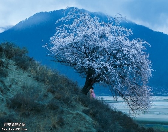 CHUN01-560x440.jpg