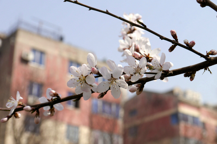 20130305微单 (2).jpg