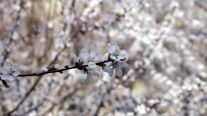 20130305微单 (4).jpg