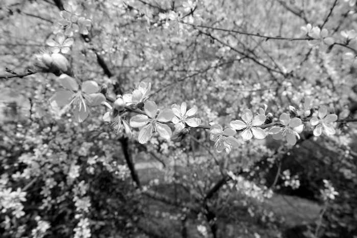 20130305微单 (5).jpg