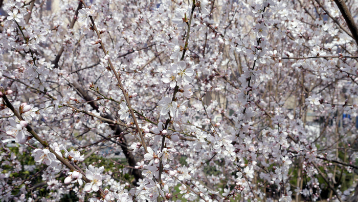 20130305微单 (7).jpg