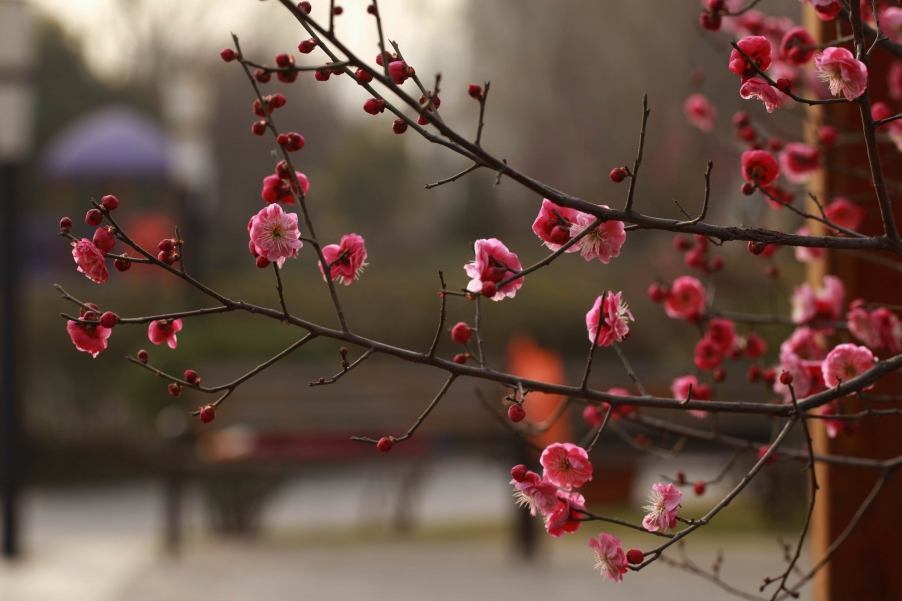 调整大小 调整大小 IMG_3676.jpg