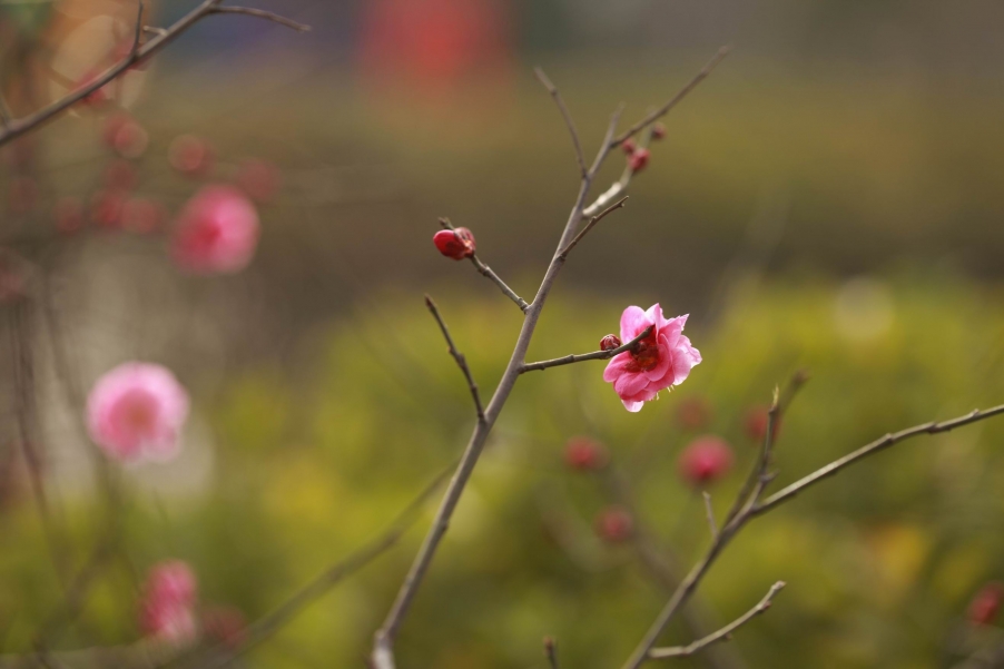 调整大小 调整大小 IMG_3691.jpg