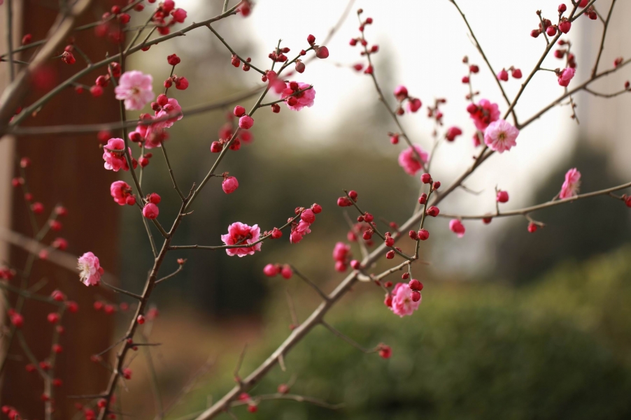 调整大小 调整大小 IMG_3704.jpg