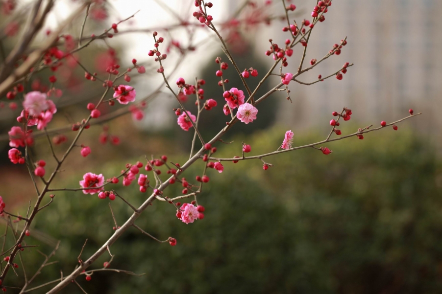 调整大小 调整大小 IMG_3707.jpg